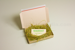 grassgreen-postbox-graspapier-wellpappe-versandschachteln-selbstklebend-00a.jpg